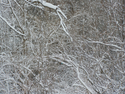 Snow%201 (thumbnail)