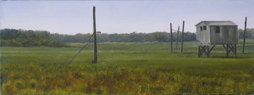 Marsh%20in%20Montauk (thumbnail)