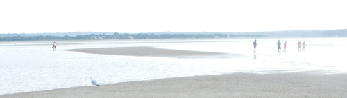 Beach%203 (thumbnail)
