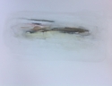 Painting-Last Year's Haze
