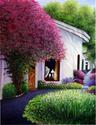Iona Ezaki - Down Town Carmel in Bloom