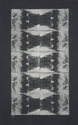 Photography--Collodion-AnimalsThe Face of My DNA