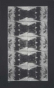 Print Making-The Face of My DNA 2