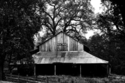 Martinez%20Barn (thumbnail)