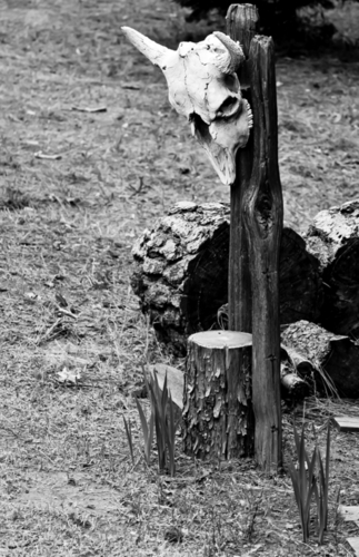 The%20Ranch (large view)