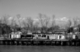 Photography-Along the Mississippi