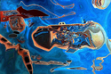 Humbloldt%2CPacific%20Ocean%20at%20Europa%20Jupiter (thumbnail)