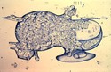 LosAgeles%20SpaceshipTwon%20complex (thumbnail)