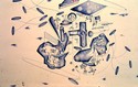 Assambling%20Hamton%20complex%20at%20L.I%2CEarth%20M (thumbnail)
