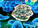 From%20The%20Brooklyn%20Spaceshiptown%2CC.Mars (thumbnail)