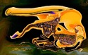 Ferrara%20%2C%20our%20first%20moon%20out%20post (thumbnail)
