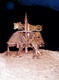Sculpture-Newton spaceship at Brandenburg Mars