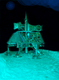 Sculpture--Mixed Media-ConceptualNewton spaceship at Brandenburg Mars