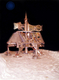 Sculpture--Mixed Media-ConceptualNewton spaceship at Brandenburg Mars