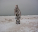 Sculpture--Mixed Media-BiomorphicRobot Fidelio at Enceladus Saturn