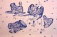 Drawing--PaperQueensComplex at N.Y  Earth Moon