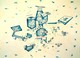 Drawing--PaperBronx complex at N.York, Earth Moon