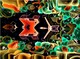 Painting--Oil-SurrealismThe kingdom of the black forest,P,G.Mars