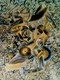 Painting--Oil-Surrealismlost in the jungle