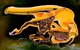Painting--Oil-SurrealismFerrara , our first moon out post