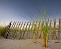photo, sand,beach, fence sunset - Landscape Photography