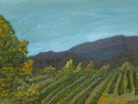 Napa Valley