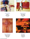 Book Arts-18th Annual Catalogue 
