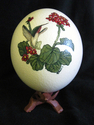 Hummingbird on Ostrich Egg