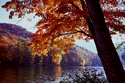 Photography--Color-LandscapeTransition