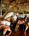Photography--Color-FigurativeArmored Steed