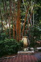 Photography--Color-FigurativeBamboo Stand