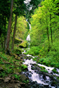 Photography--Color-NatureWahkeena Falls