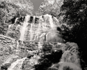 Photography--Black & White-NatureAmicolola Falls