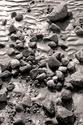 Photography--Black & White-NatureBeach Stones