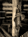 Photography--Black & White-EditorialBridle