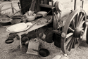 Photography--Black & White-EditorialCookie's Wagon