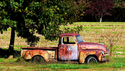 Photography--Color-EditorialDaydreamin'