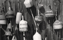 Photography--Black & White-EditorialFloats