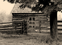 Photography--Black & White-EditorialHomestead