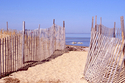 Photography--Color-SeascapeBeach Gateway