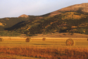 Photography--Color-LandscapeAutumn Gold