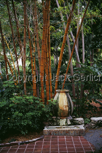 Photography-Figurative-Bamboo Stand