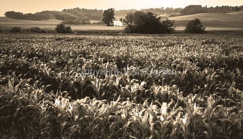 Photography-Landscape-After The Rain