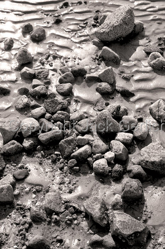 Photography-Nature-Beach Stones