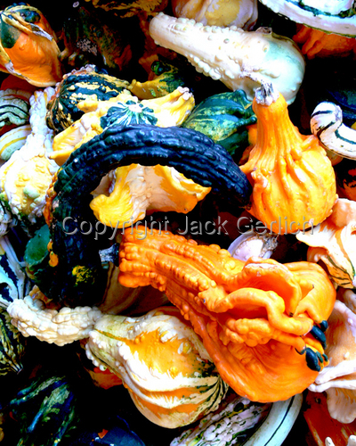 Photography-Editorial-Gourds 2