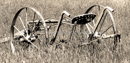 Photography-Editorial-In The Field
