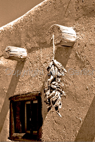 Photography-Editorial-Out to Dry