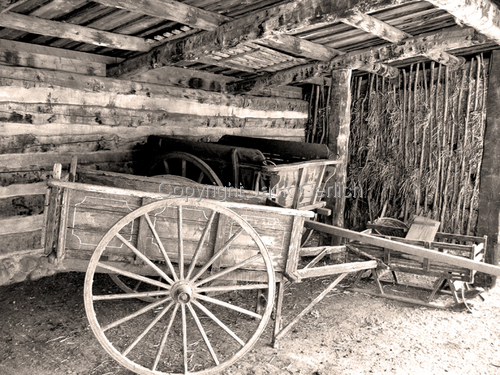 Photography-Editorial-Wagon Shed