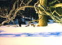 JACK  R KAISER - The Biggest Sycamore