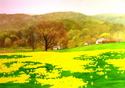 THE%20MUSTARD%20FIELD (thumbnail)